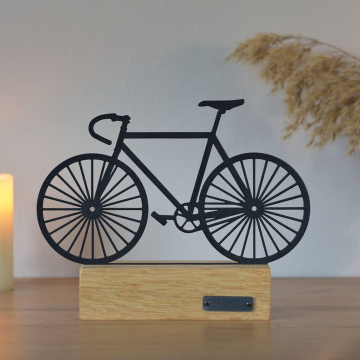 Ornament - Wielrenfiets - Lifestaal