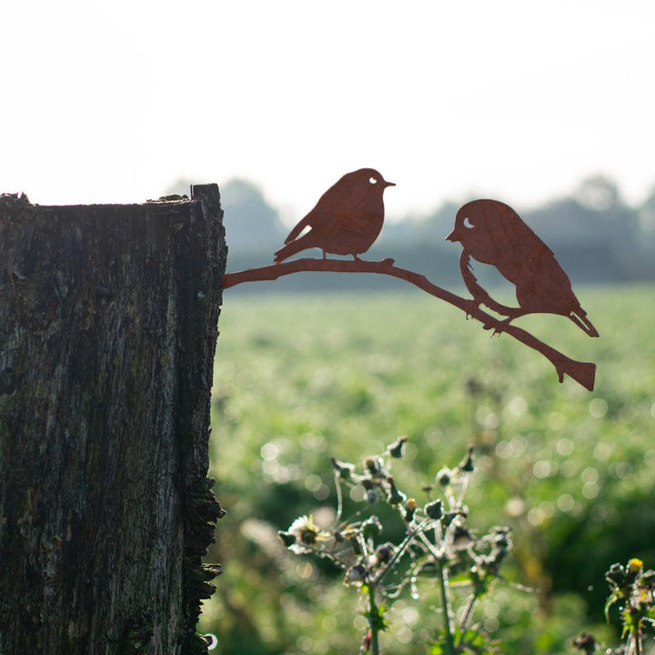 Metalbirds - Roodborstjes paar - Lifestaal