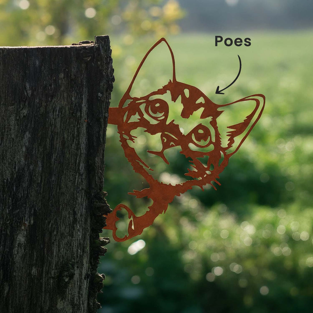 Cortenstalen Tuinvogels voor Buiten - Lifestaal