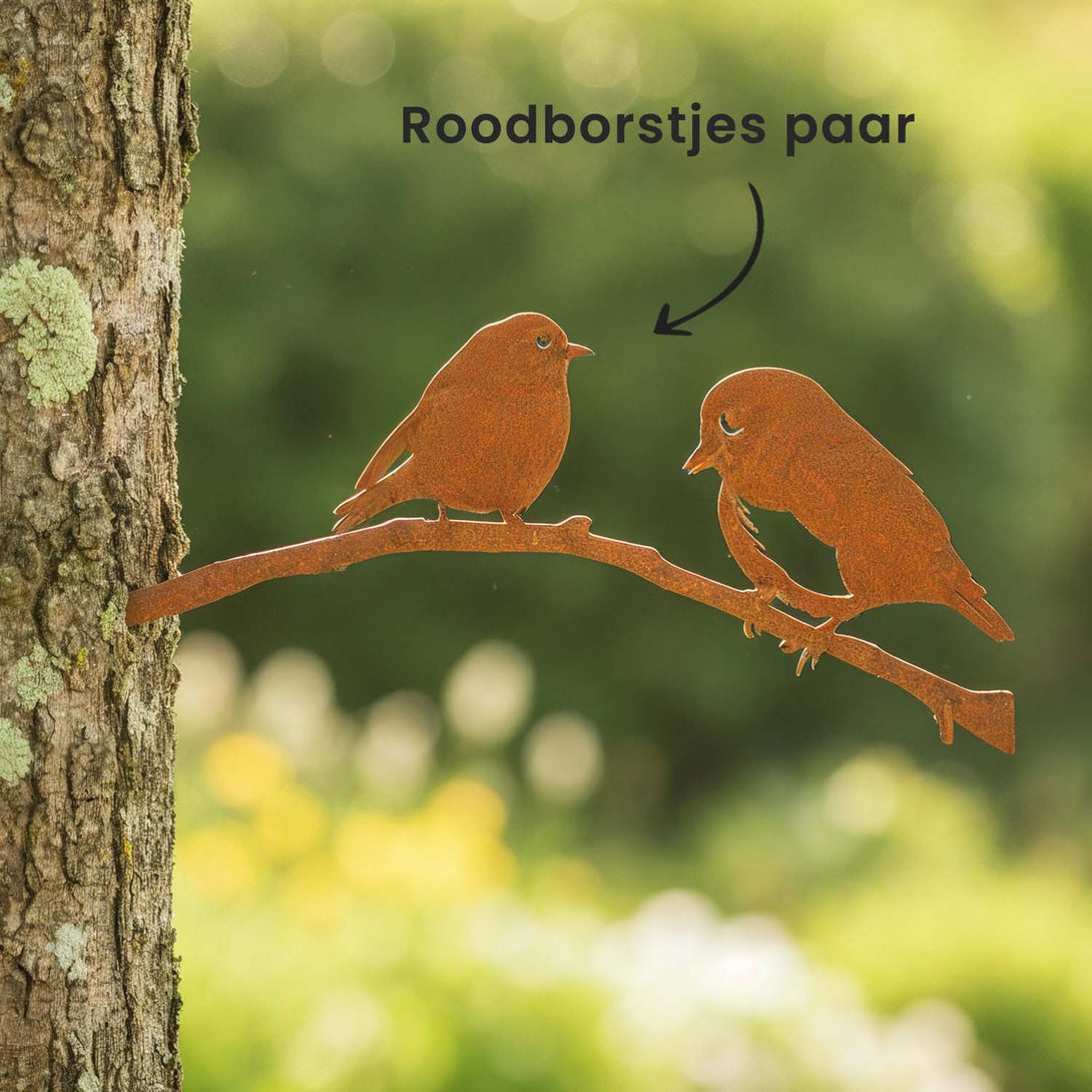 Cortenstalen Tuinvogels voor Buiten - Lifestaal