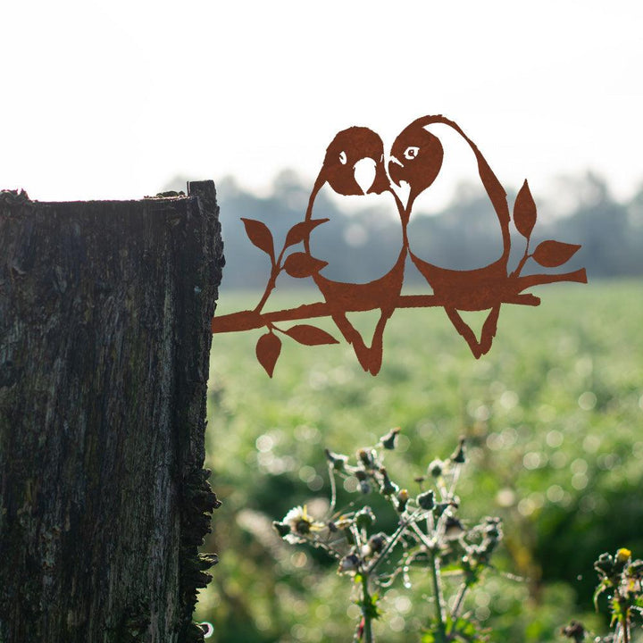 Metalbirds - Parkieten - Lifestaal